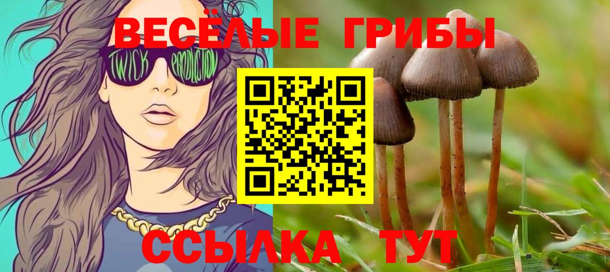 Галлюциногенные грибы Psilocybine cubensis Ханты-Мансийск